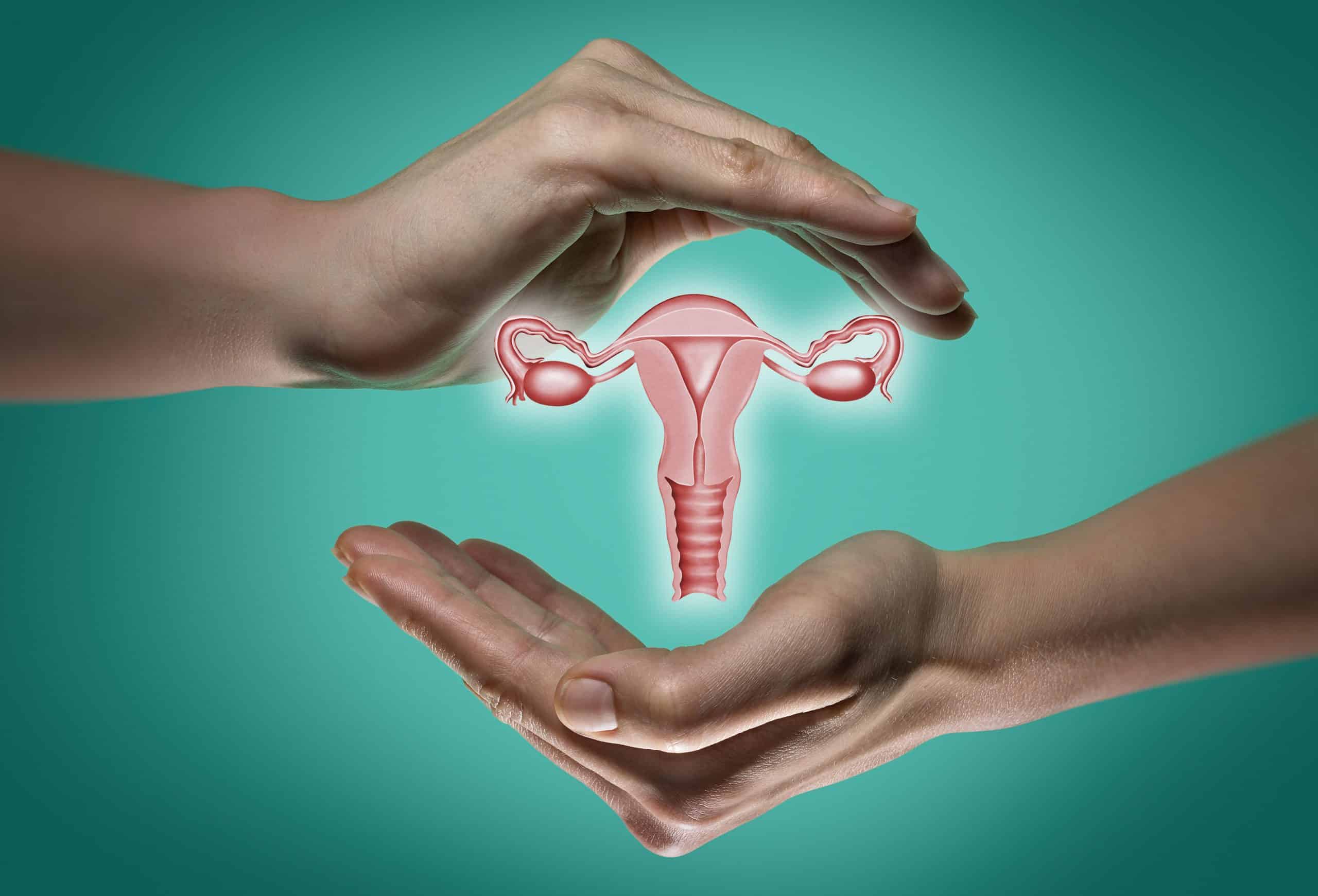 Kesehatan Reproduksi Wanita: Apa yang Perlu Diketahui