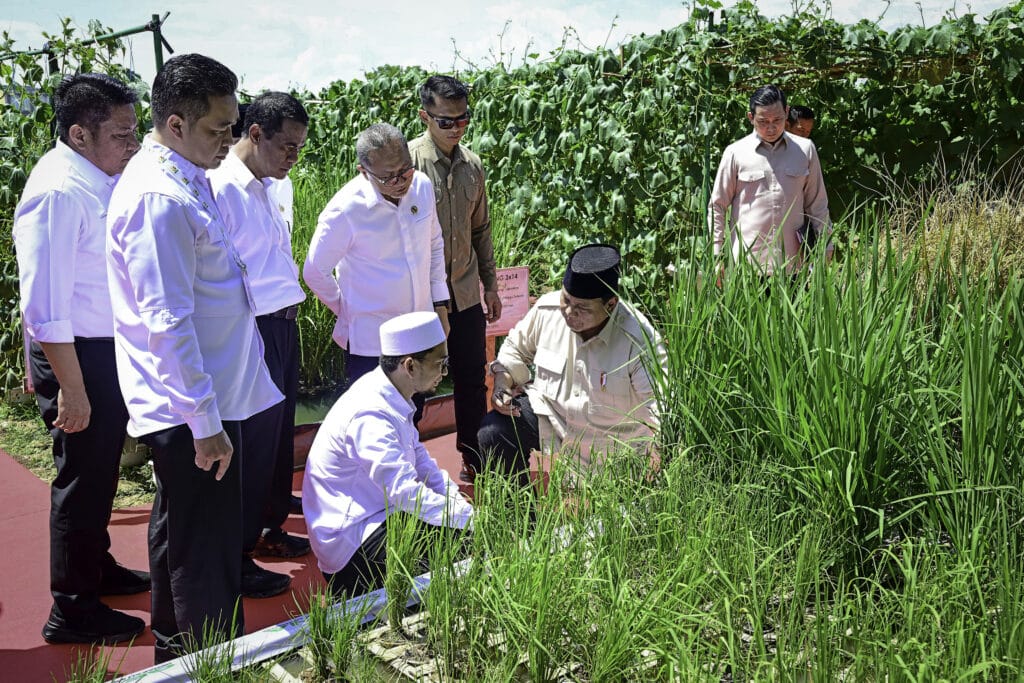 Presiden Prabowo: Indonesia Jadi Lumbung Pangan Dunia