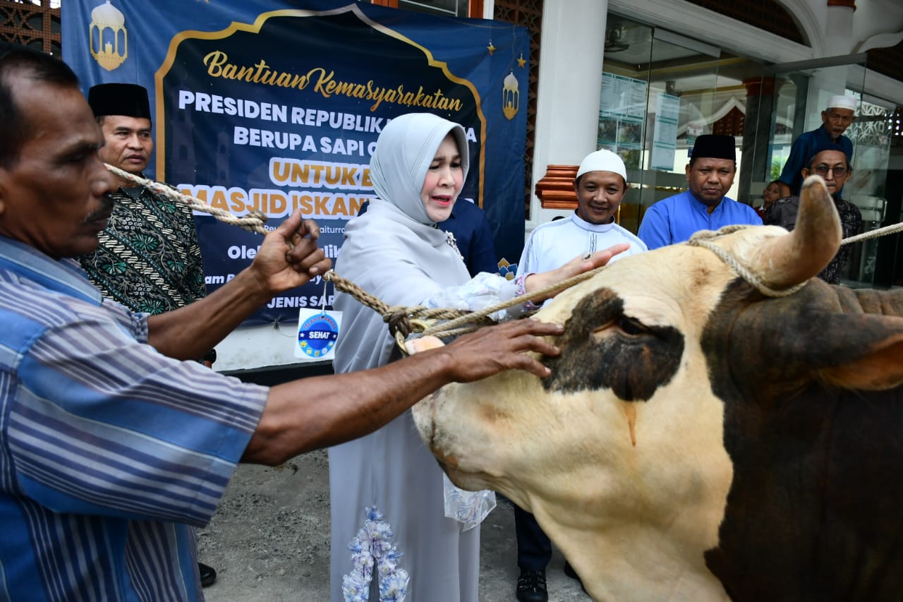Illiza Serahkan Sapi Kurban Bantuan Presiden Prabowo pada BKM Iskandar Muda Peuniti