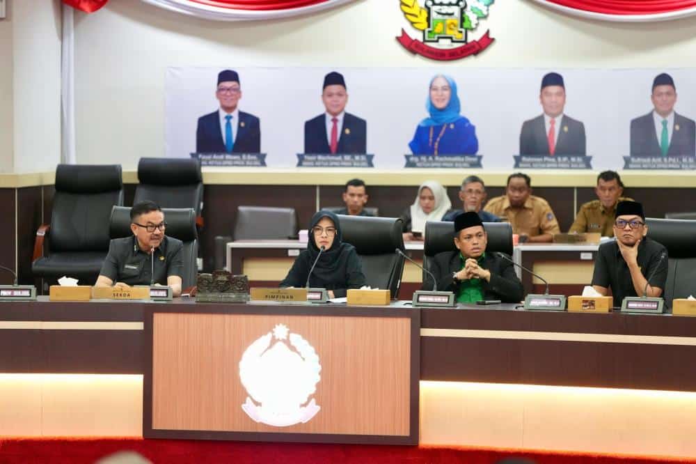 Sekprov Sulsel Sampaikan Realisasi APBD dalam LKPJ 2024