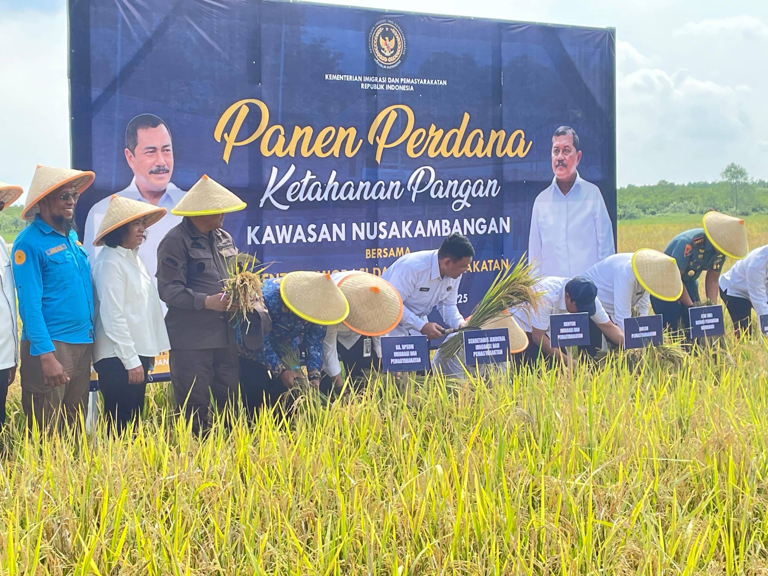 Beri Kesempatan WBP Bangun Lumbung Ketahanan Pangan, Kini Meraih Sukses dan Menteri Agus Andrianto Lakukan Panen Perdana