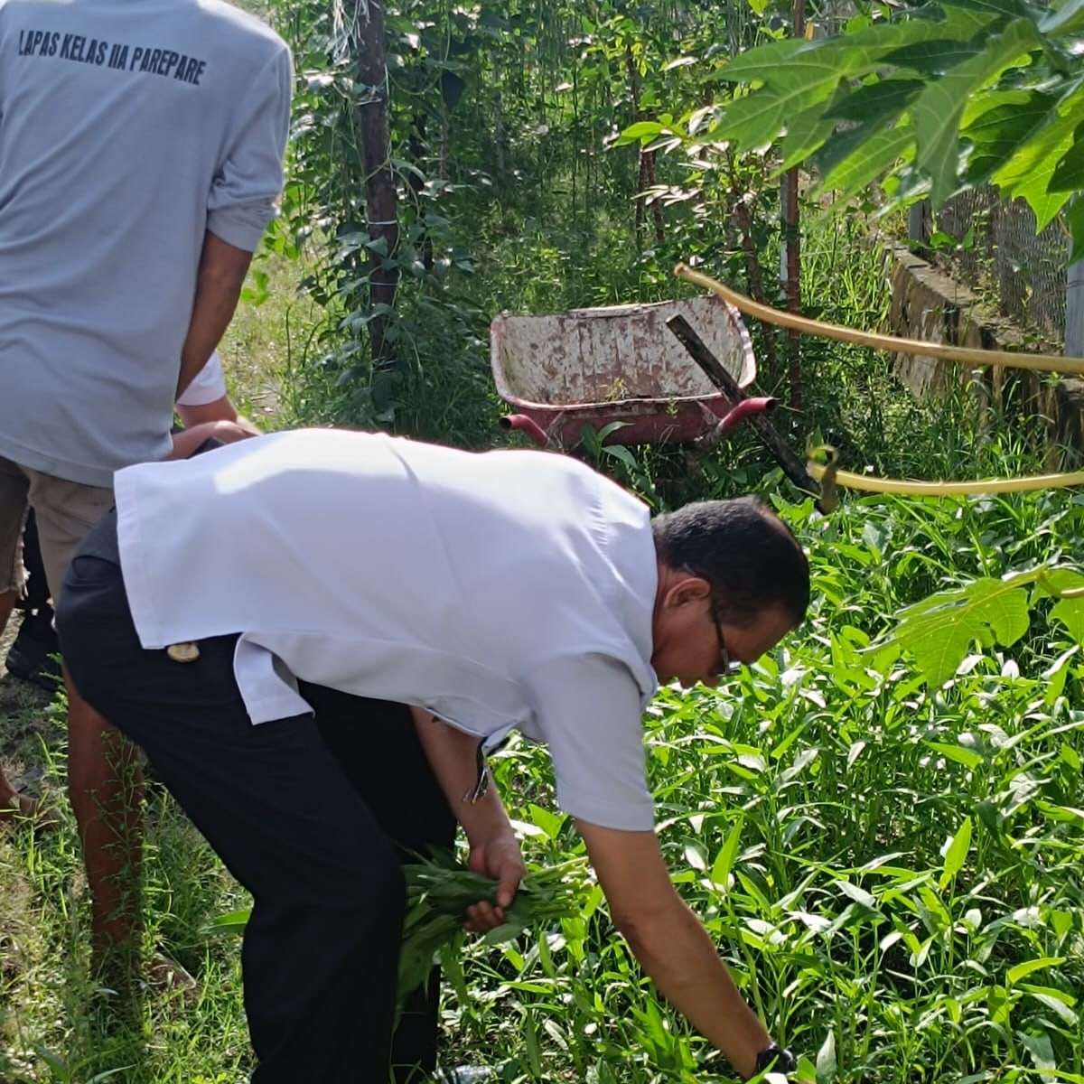 WBP Lapas Parepare Tanam Sayur dan Tabur Benih Ikan, Kalapas Totok Budiyanto: Kita Berdayakan Mereka dengan Memanfaatkan Lahan Kosong
