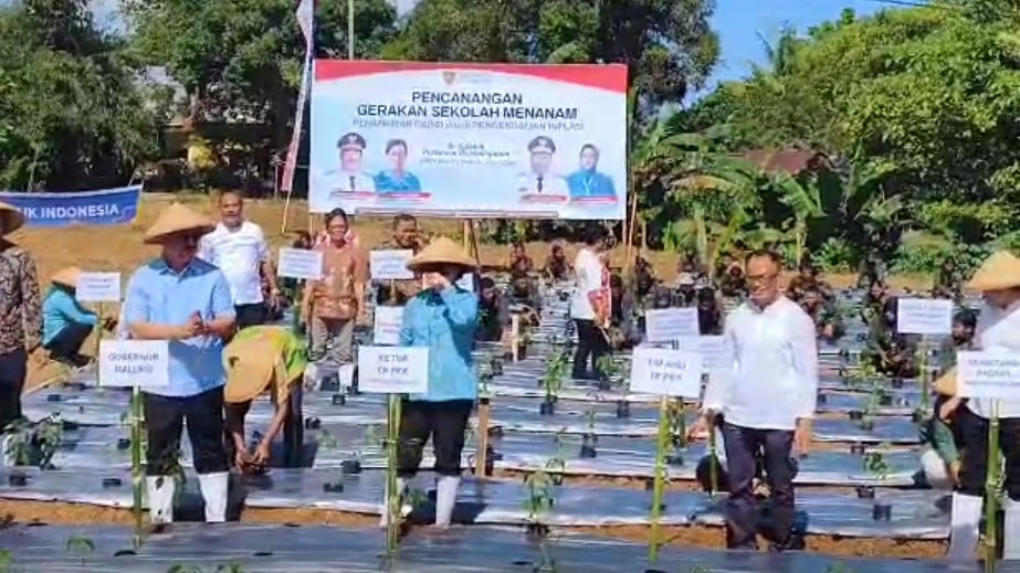 KUNJUNGI SMK NEGERI PERTANIAN PEMBANGUNAN, GUBERNUR TANAM CABAI