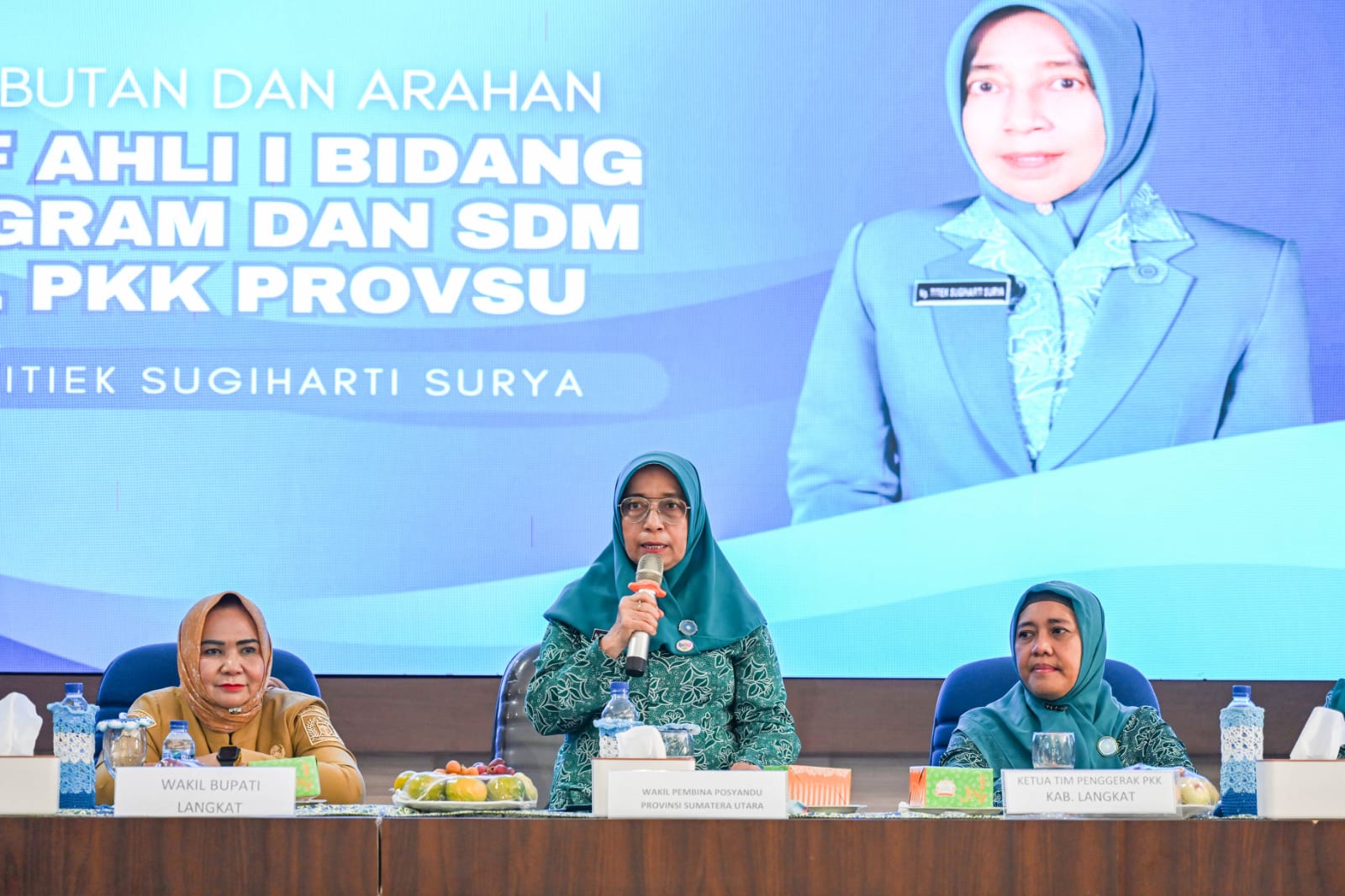 Supervisi di Kabupaten Langkat, Staf Ahli I TP PKK Sumut Dorong Perkuat Jaringan Kemitraan