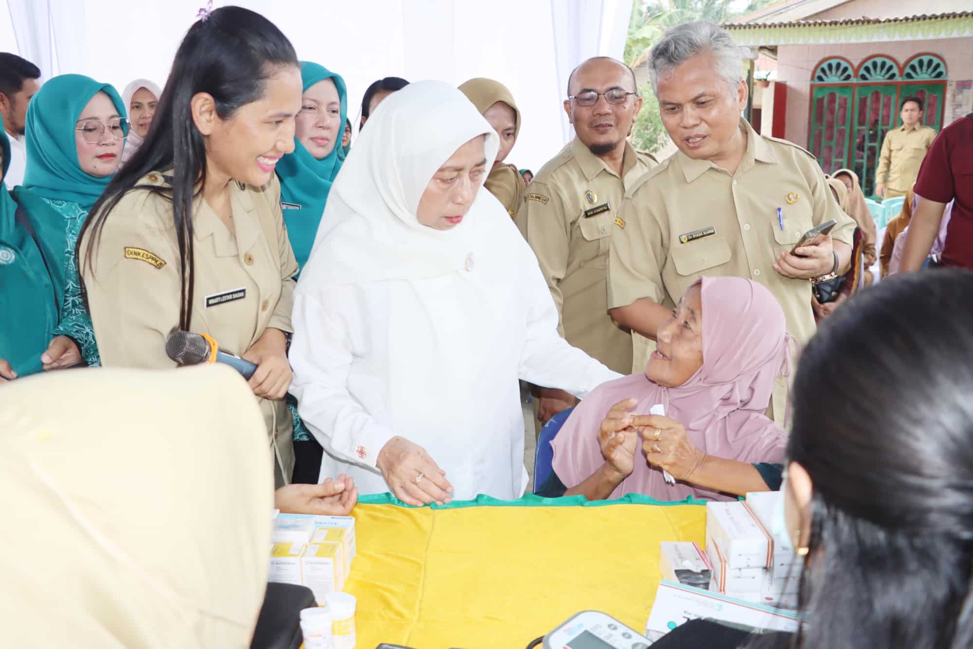 Kunjungi Posyandu di Batubara Wakil Ketua TP Posyandu Sumut Bergembira Bersama Para Lansia