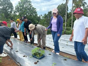 Ketua TP-PKK Kunjungi Kelompok Petani Dusun Keranjang, Ini Tujuannya