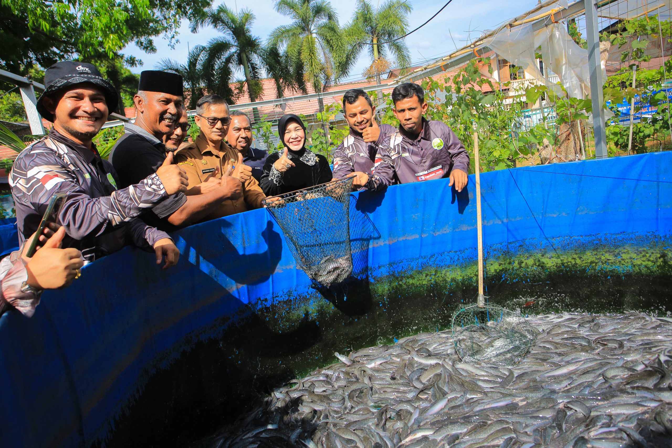 Wali Kota Illiza Panen Anggur dan Lele di Geuceu Komplek