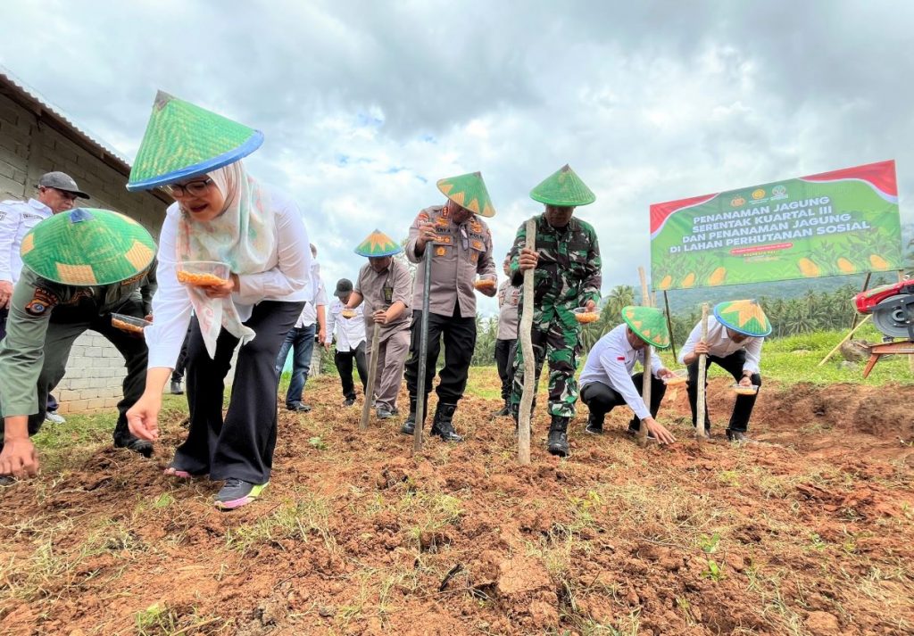 Gerakan Nasional Tanam Jagung Serentak: Pemkot Palu Turut Berpartisipasi di Lahan Uwenompu