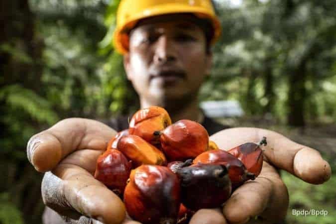 Malaysia Genjot Biodiesel Sawit, Permintaan Diproyeksi Naik 300.000 Ton per Tahun