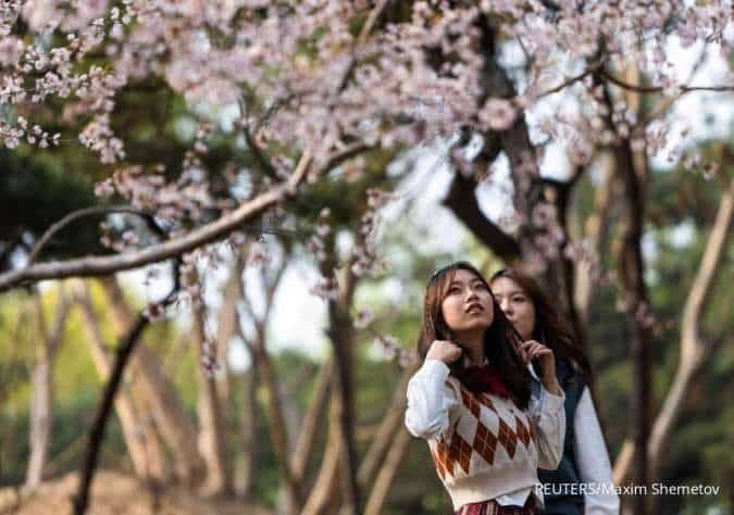 Wabah Penyakit Mulut Kuku Baru di China, Pemerintah Perketat Perbatasan dan Vaksinasi