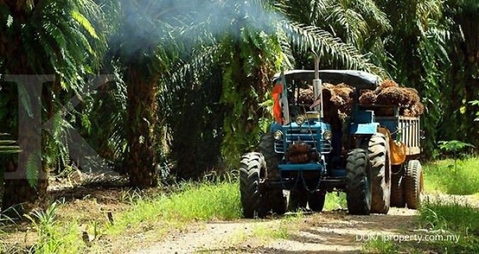 Segera Terapkan Mandat B12, Konsumsi Biodisel Bakal Naik