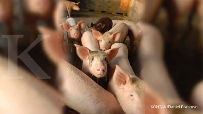 China Genjot Pakan Fermentasi untuk Tekan Impor Kedelai dan Biaya Peternakan China Genjot Pakan Fermentasi untuk Tekan Impor Kedelai dan Biaya Peternakan