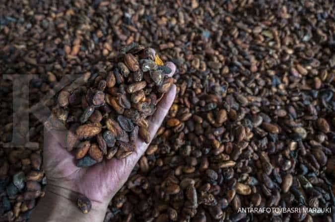 Produsen Cokelat Global Kembali Serap Kakao Saat Harga Anjlok 70%