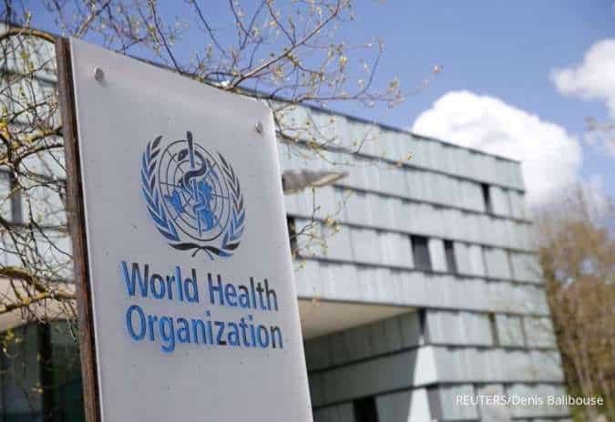 Kasus Hantavirus di Kapal Pesiar Naik Jadi 12, WHO Minta Pengawasan Diperketat