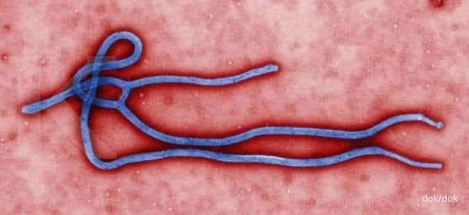 Peringatan WHO: Wabah Ebola di Kongo & Uganda Capai Level Tertinggi