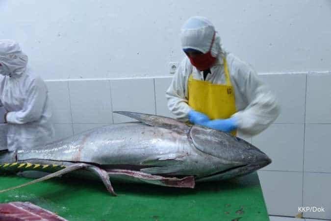 Industri Tuna Indonesia Bergerak ke Ekonomi Bernilai Tinggi
