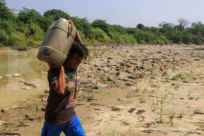 El Nino Ancam Produksi Pangan Asia, Harga Beras dan Gandum Berpotensi Naik