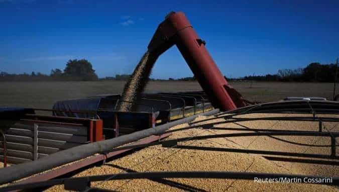 Fenomena Impor Kedelai China: AS Naik, Brasil Malah Turun