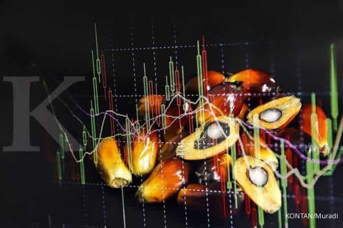 Impor Minyak Sawit India Turun ke Level Terendah dalam 14 Bulan pada Juni