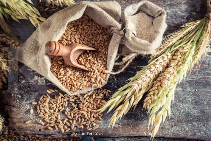 Harga Gandum Melonjak Lebih dari 2% Dipicu Risiko Perang Rusia-Ukraina