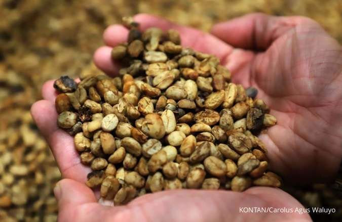 Harga Kopi Arabika Meroket Selasa (11/8), Tembus Level Tertinggi 3 Pekan