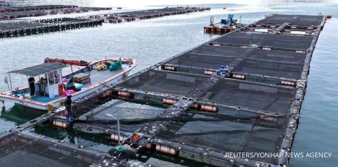 Optimisme Pebisnis Korea Selatan Meningkat, Indeks Investasi Peralatan Melesat