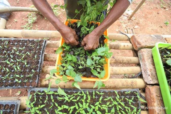 Daftar Negara dengan Produksi Pertanian Terbesar di Dunia, Indonesia Peringkat Kelima