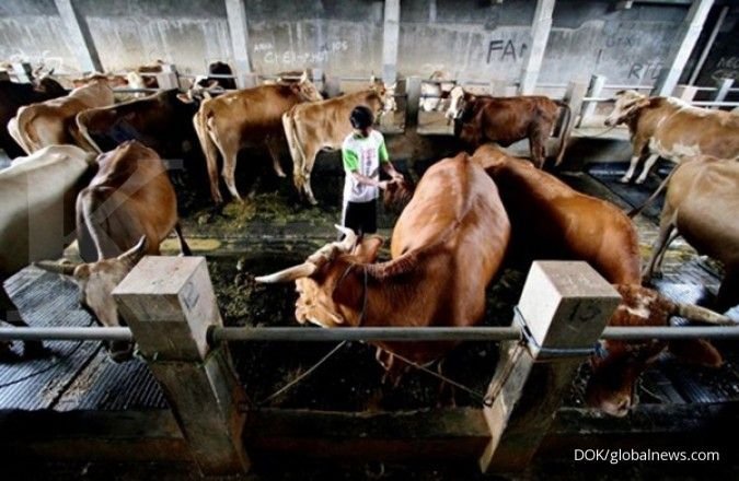 China Kenakan Tarif Tambahan 55% untuk Daging Sapi Brasil Mulai Oktober